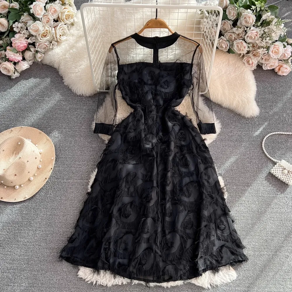 Long Sleeved Round Neck Mesh Mid Length A Line Feather Fringed Dress 1553