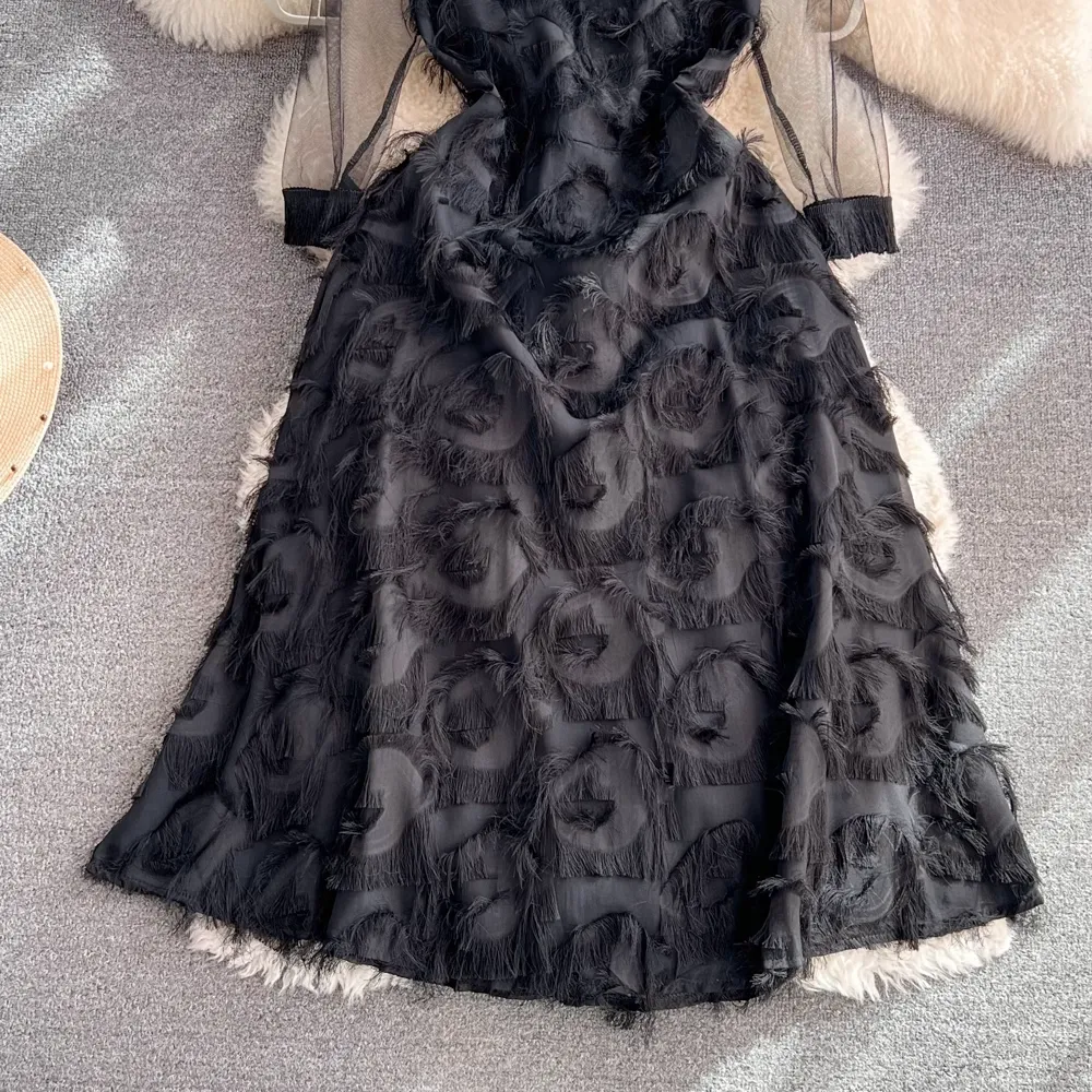 Long Sleeved Round Neck Mesh Mid Length A Line Feather Fringed Dress 1553